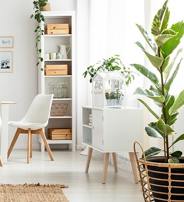 Living room interior